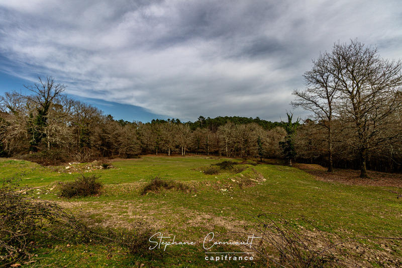 Propriété - 251 m² - 7 pièces