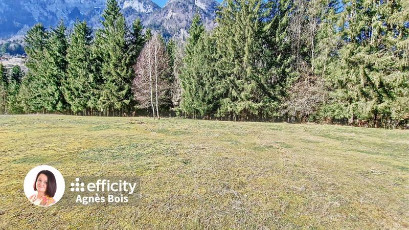 Terrain - 3 596 m²