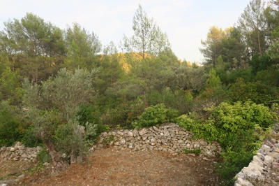 Terrain - 6 543 m²
