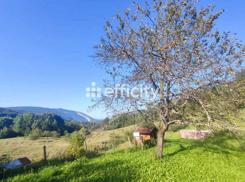 Maison - 195 m² - 5 pièces