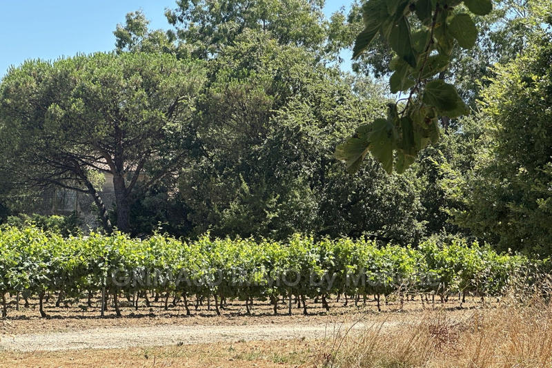 Maison - 85 m² - 3 pièces