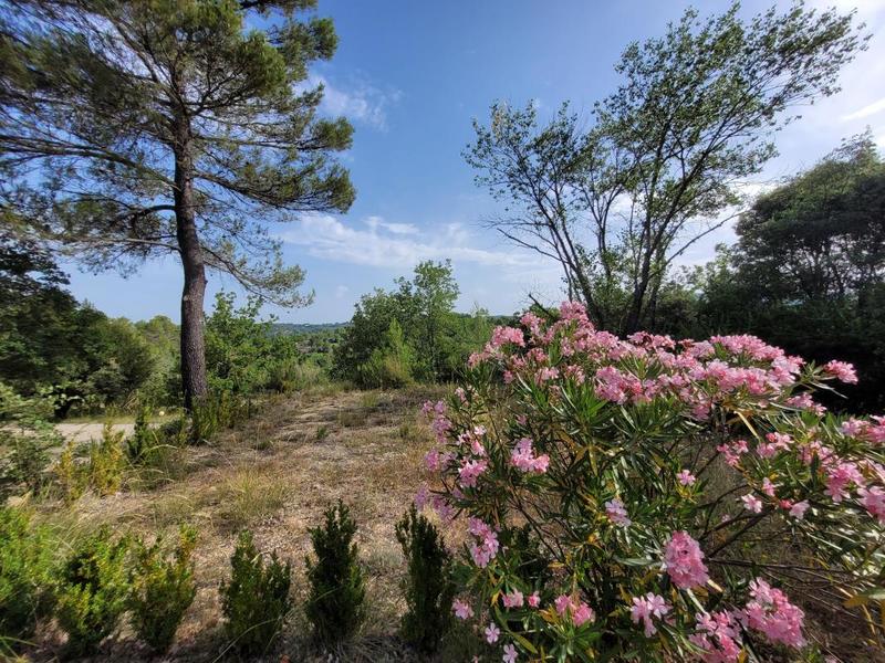 Villa - 276 m² - 8 pièces