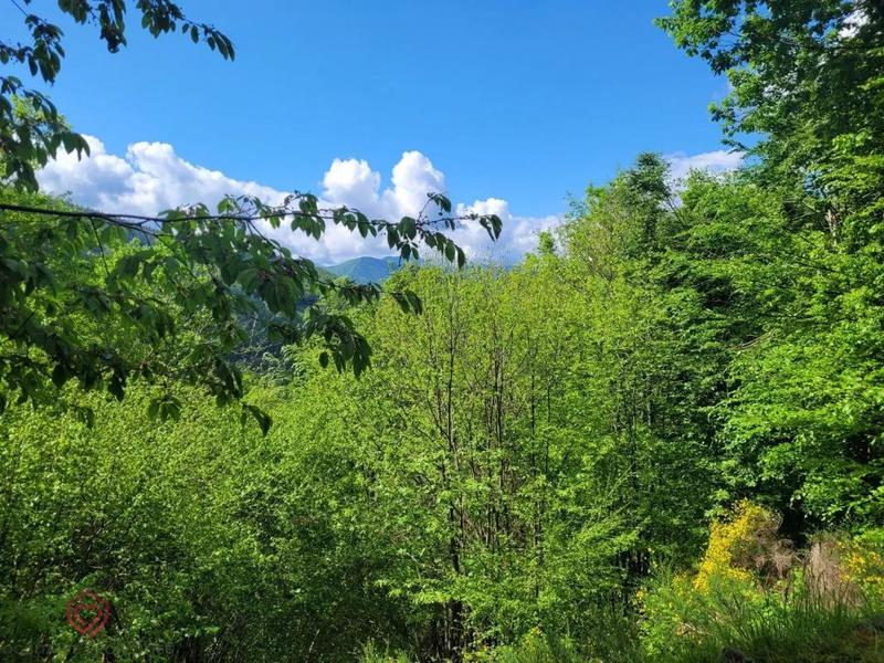 Châlet - 71 m² - 2 pièces