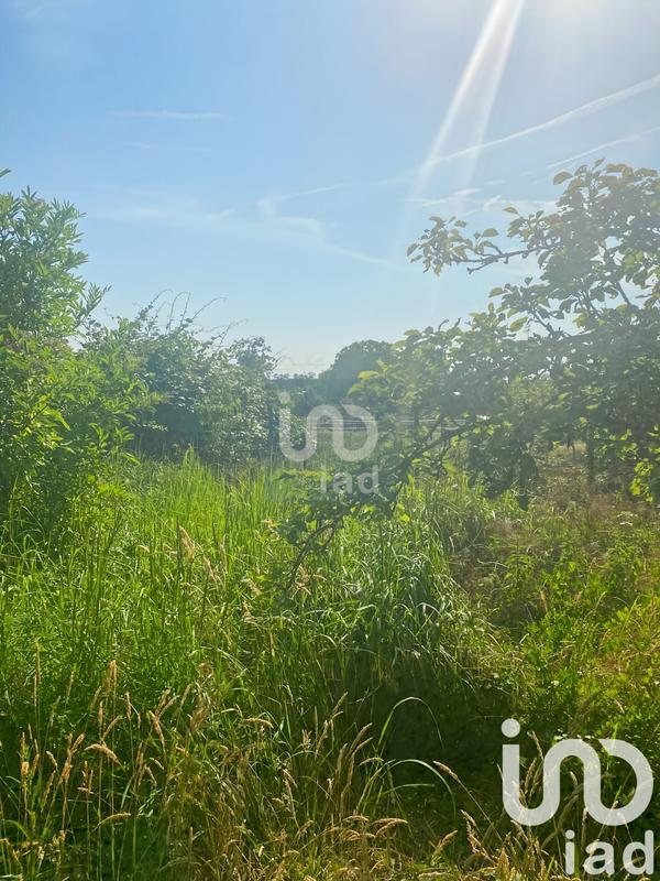 Maison de campagne - 90 m² - 4 pièces