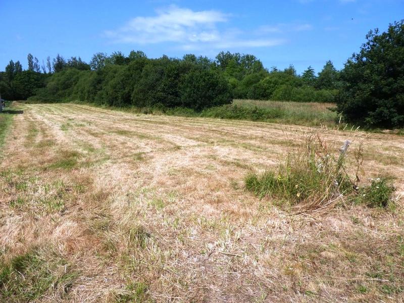 Terrain constructible - 4 181 m²