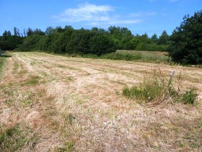Terrain constructible - 4 181 m²