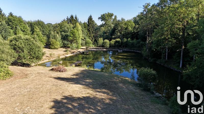 Terrain - 11 902 m²