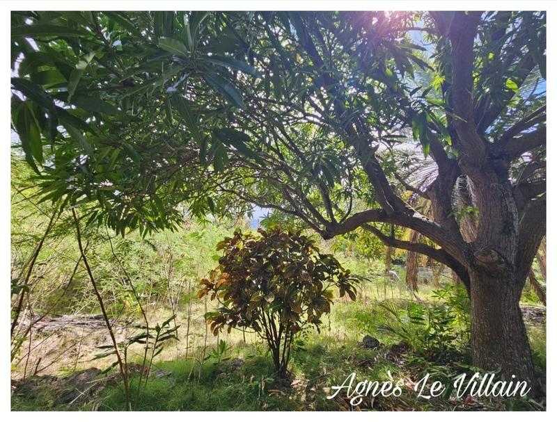 Terrain constructible - 1 501 m²