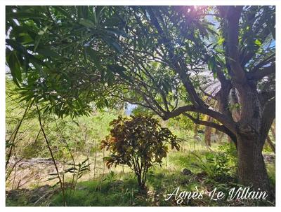 Terrain constructible - 1 501 m²