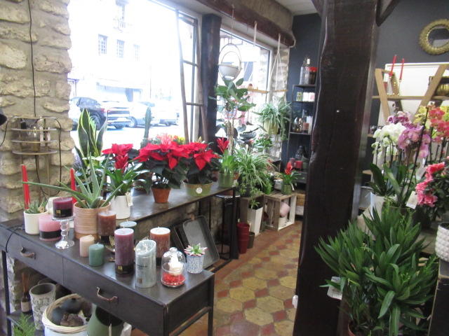 Appartement - 55 m² - 2 pièces