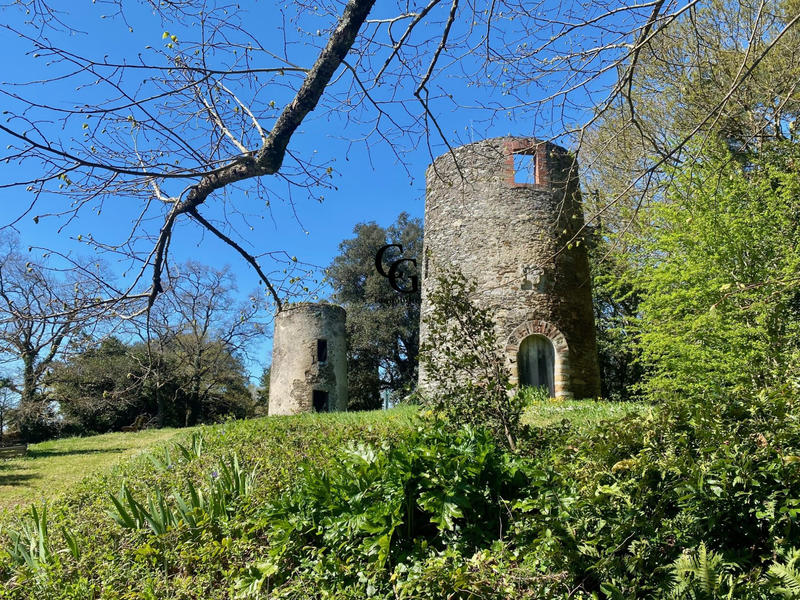 Maison ancienne - 315 m² - 9 pièces