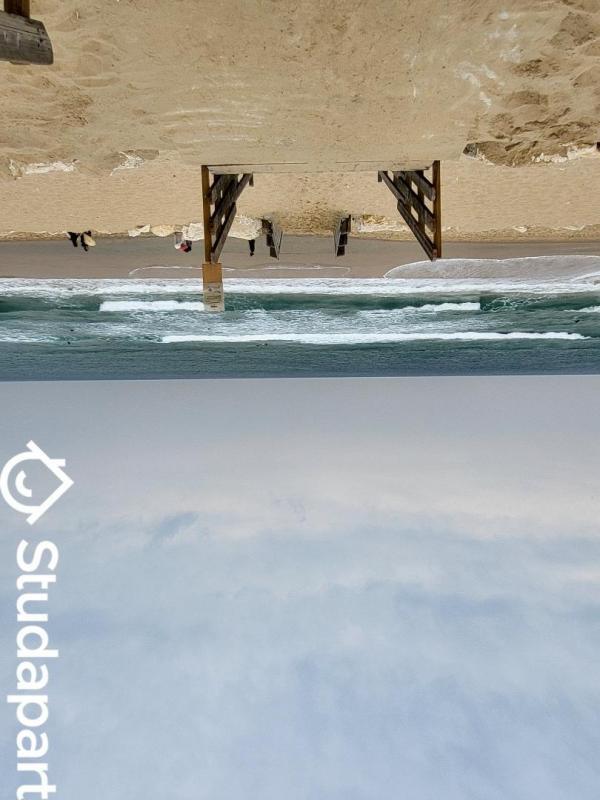 Chambre - 15 m² - 1 pièce