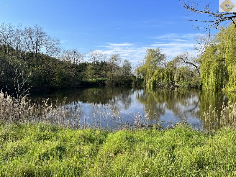 Maison - 234 m² - 8 pièces