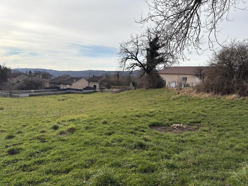 Terrain constructible - 6 233 m²