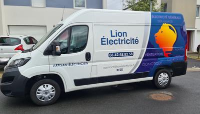 Lion Electricité