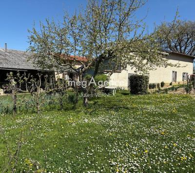 Corps de ferme - 157 m² - 6 pièces