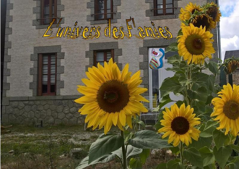 L'Univers des F'amies