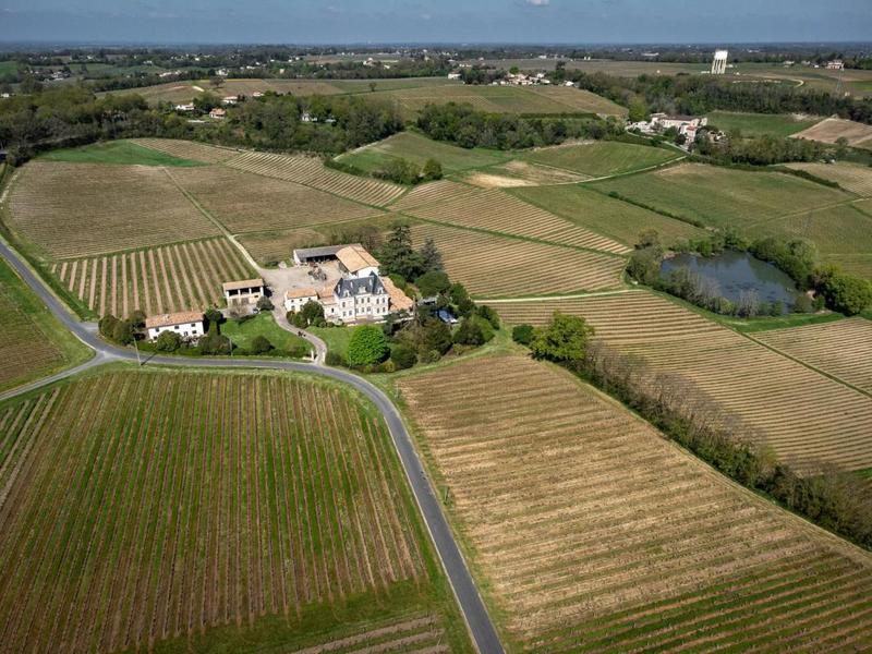 Propriété viticole - 366 m² - 10 pièces