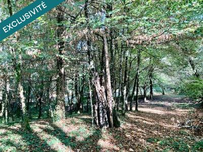 Maison - 99 m² - 4 pièces