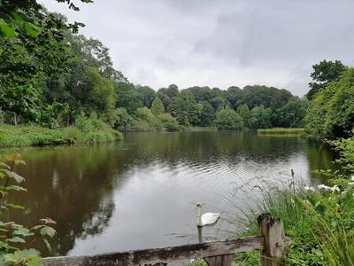 Maison - 251 m² - 10 pièces