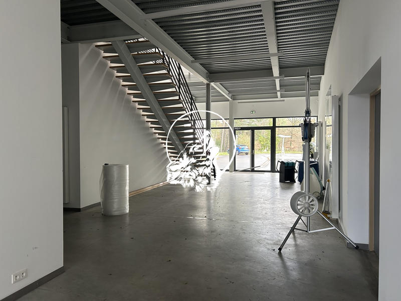 Local d'activités - 1 166 m² - 10 pièces