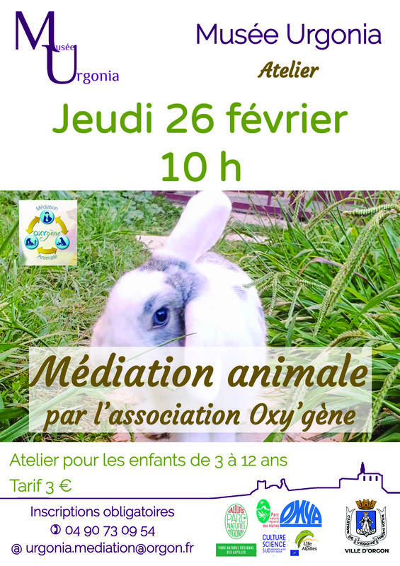 Atelier "Médiation animale"