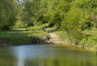 Haras - 130 m² - 5 pièces