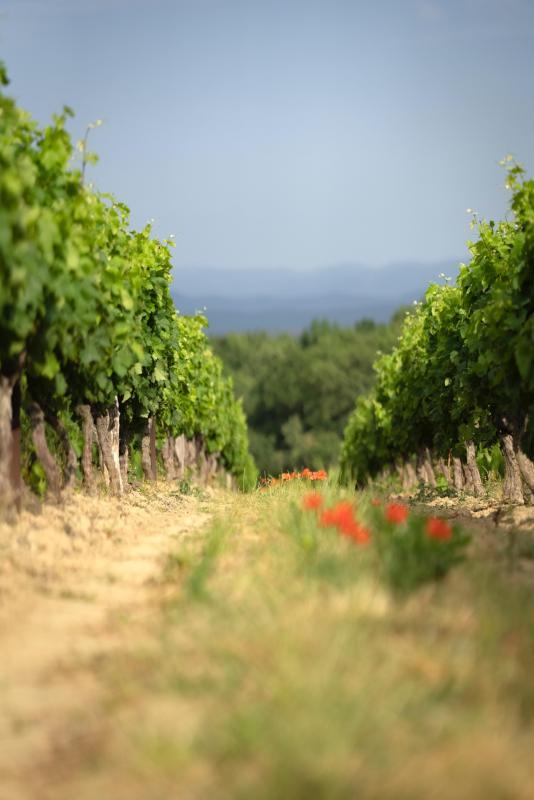 Terrain agricole - 360 000 m²