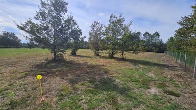 Terrain - 11 969 m²