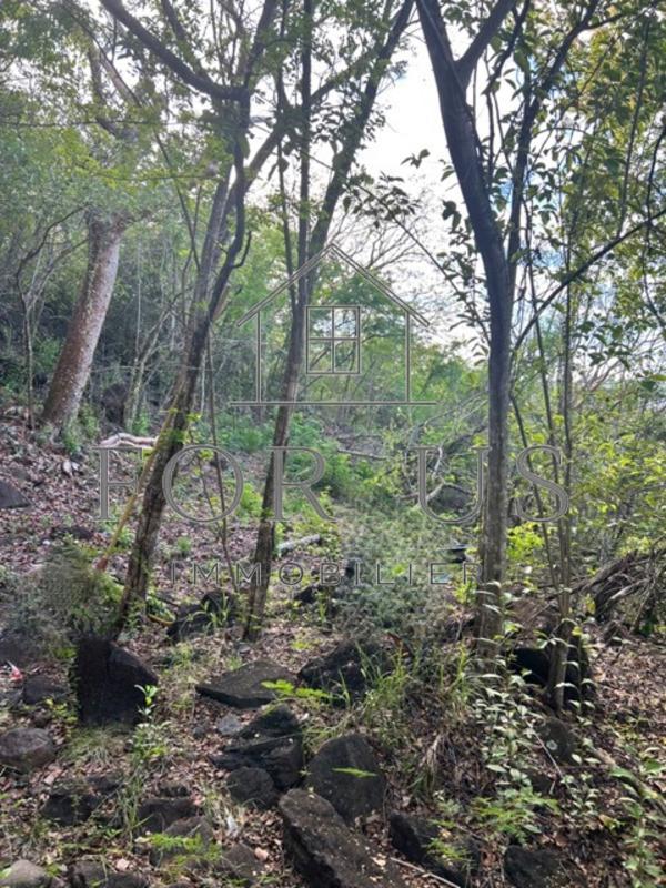 Terrain constructible - 1 096 m²