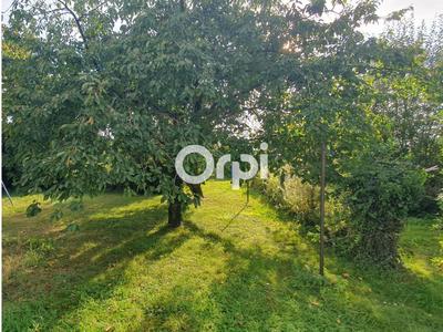 Terrain constructible - 800 m²