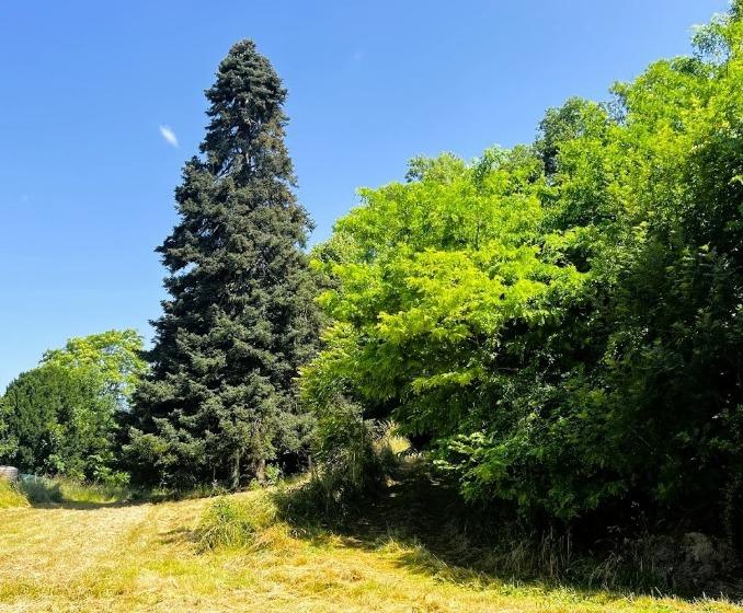 Manoir - 1 100 m² - 17 pièces