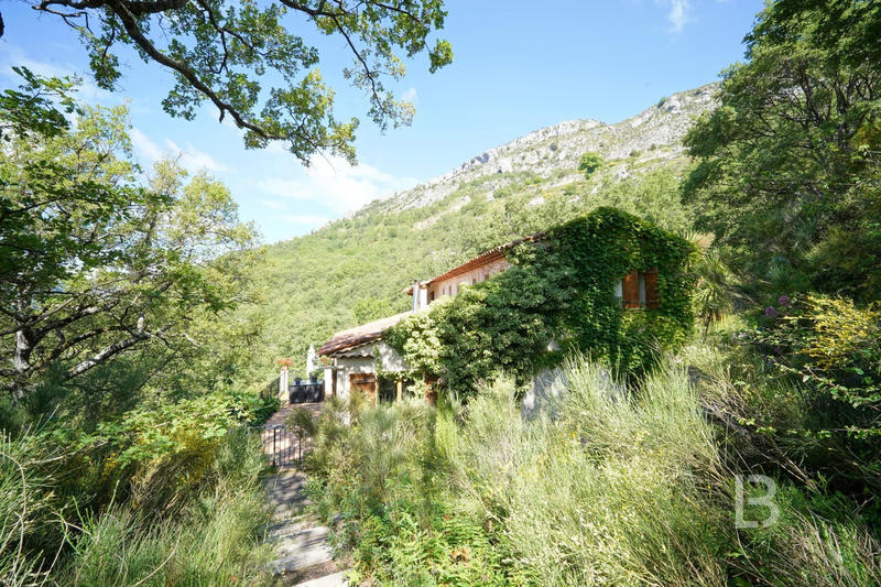 Maison - 256 m² - 11 pièces