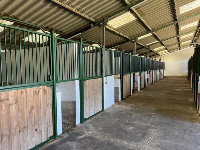 Maison de domaine équestre - 524 m² - 9 pièces