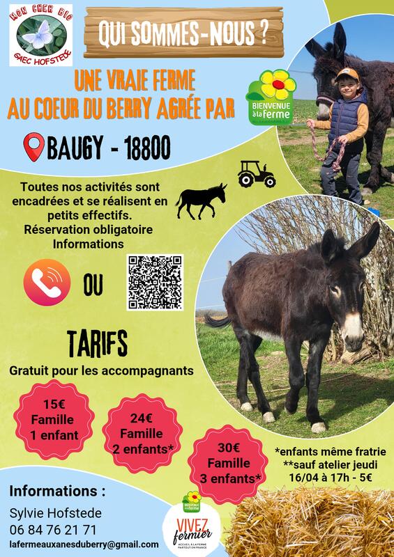 Mini Balade avec les Ânes