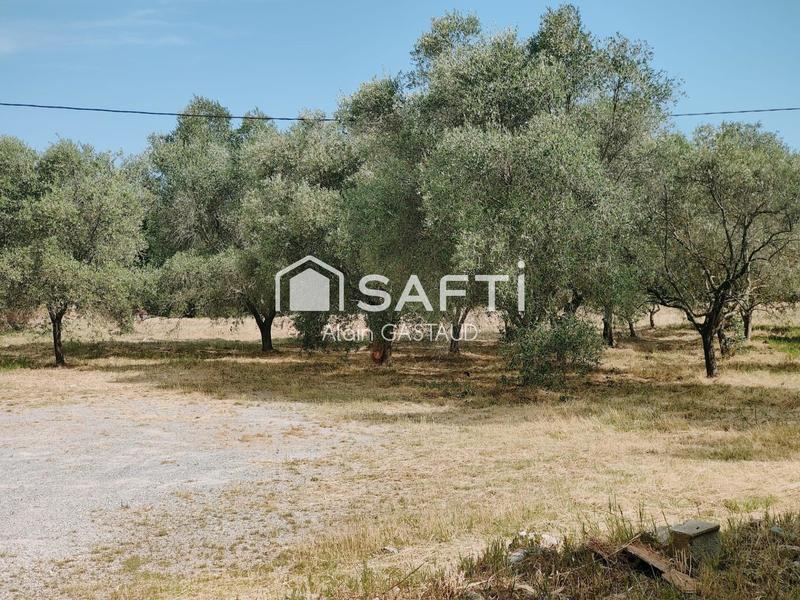 Terrain - 710 m²