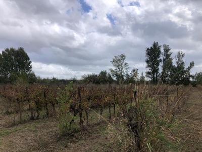 Terrain - 18 960 m²