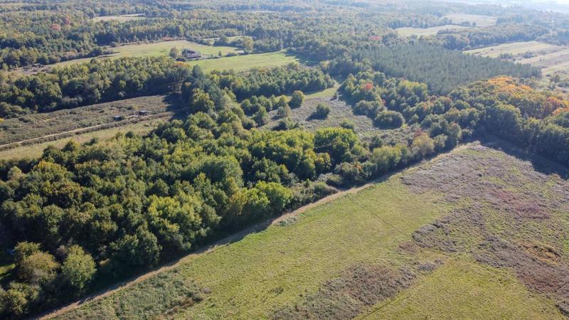 Forêt - 223 455 m²