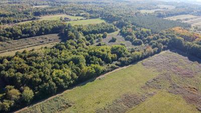 Forêt - 223 455 m²