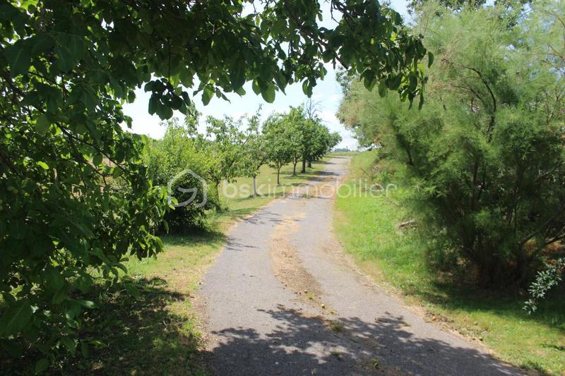 Corps de ferme - 230 m² - 7 pièces