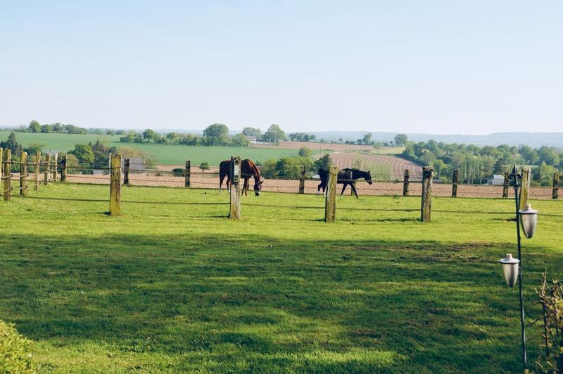 Haras - 169 m² - 7 pièces