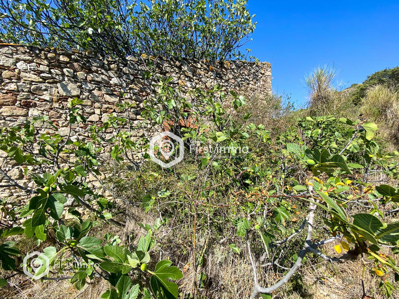 Terrain de loisirs - 1 319 m²