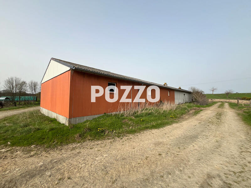 Maison - 600 m² - 5 pièces