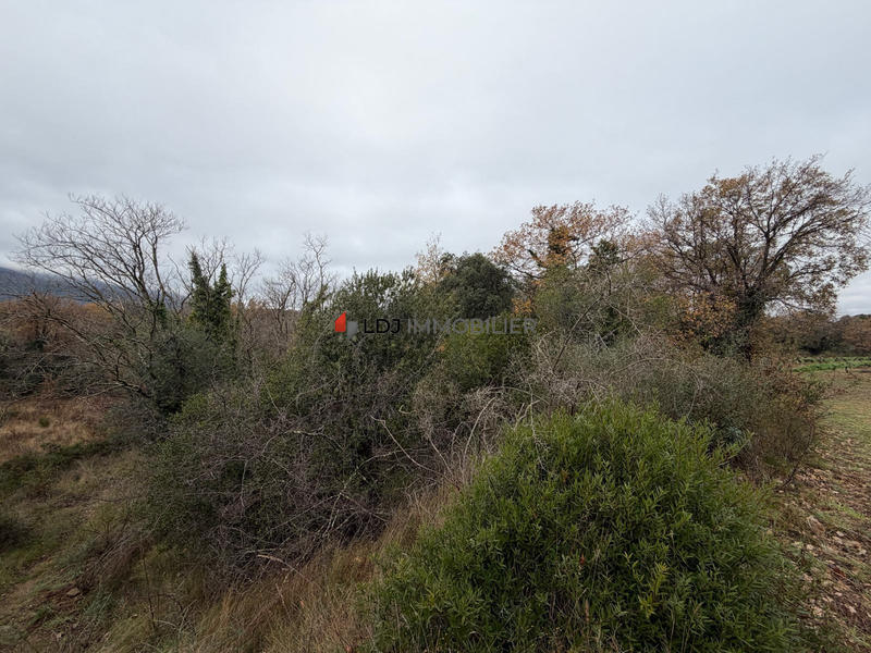 Terrain agricole - 17 246 m²