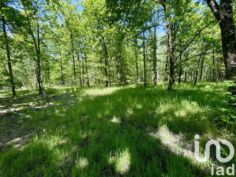 Terrain - 10 000 m²