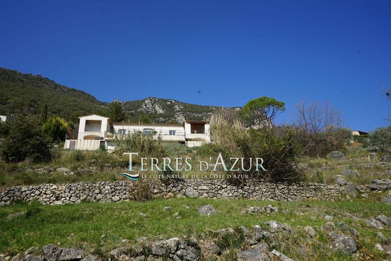 Villa - 263 m² - 7 pièces
