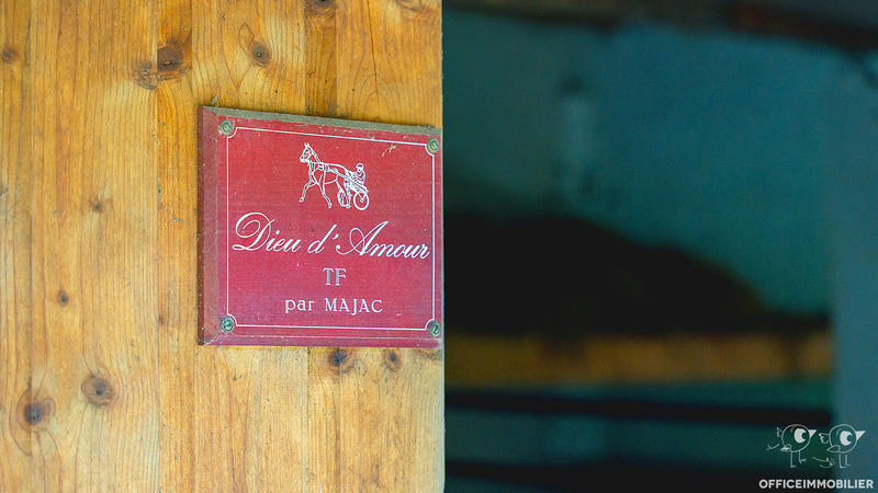 Maison - 250 m² - 6 pièces