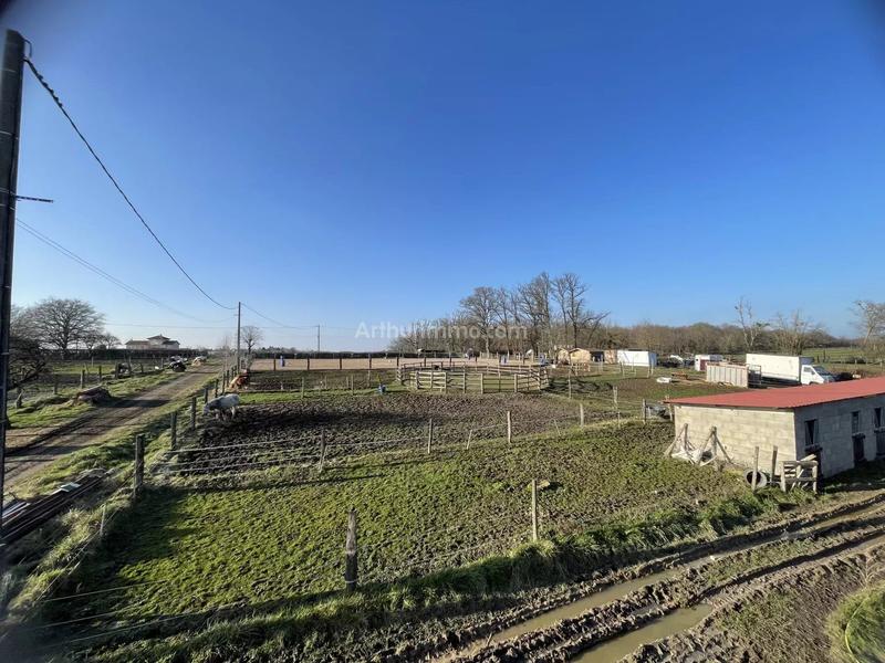 Maison - 230 m² - 6 pièces