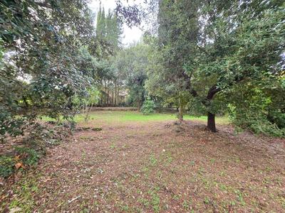 Terrain constructible - 2 000 m²