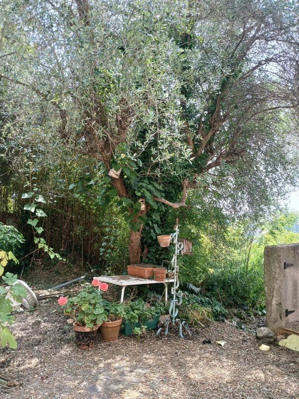 Maison - 251 m² - 10 pièces